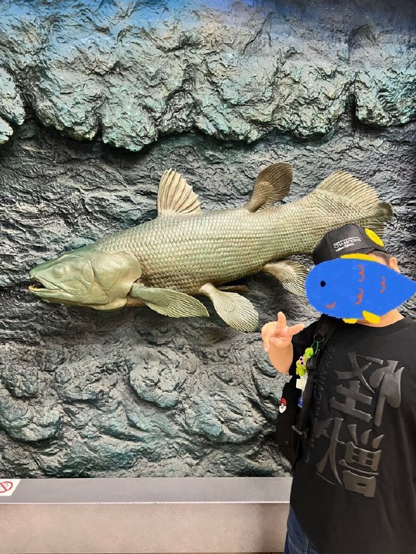 📸 @minminzemi_nzシーラカンスと僕あれから1週間絶賛透明ロス中です🫥🫥 #サカナクション #SAKANAQUARIUM20262027透明原文 #サカナクション