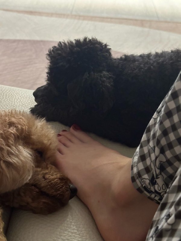 📸 @CatYeji21 ×3Yeji feet 💗✨️Part III #발 #예지 #Yeji #Itzy原文 #黄礼志