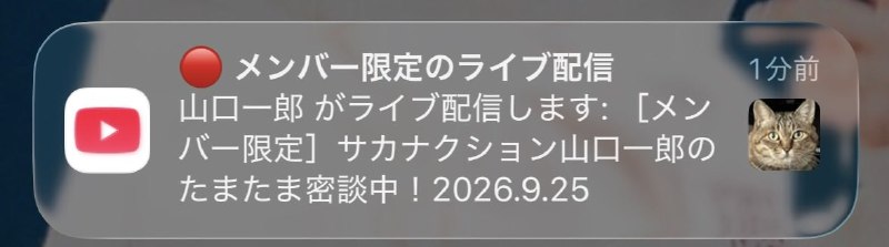 📸 @chico_chico0426お！！始まったわね！！ #山口一郎原文 #サカナクション