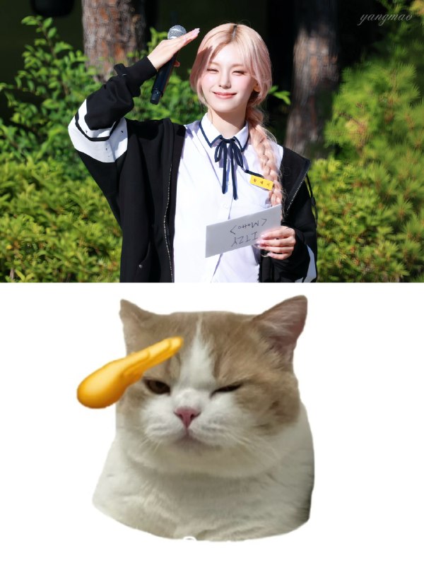 📸 @fei1204 ×2260530 小猫敬礼！😸🫡 #YEJI #ITZY #예지 #있지原文 #黄礼志📸 @fei1204 ×2260530 小猫敬礼！😸🫡 #YEJI #ITZY #예지 #있지原文 #黄礼志