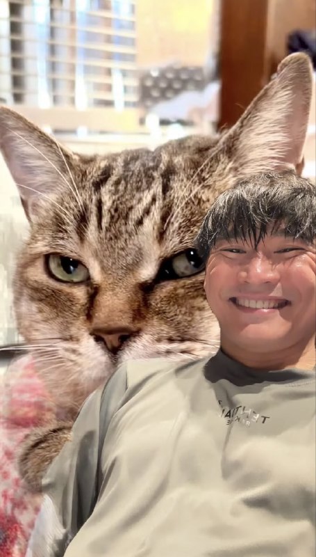 📸 @madowercel_dawn ×4山口一郎さんのメンバーシップ限定配信は和やかでほんわかムードで癒しを求める人にオススメです✨️スマホから流れ星配信