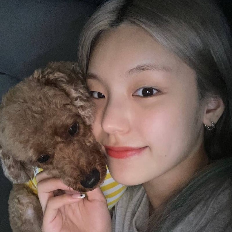 📸 @_imthemafia@itzypopbase so long, hongsamie 😭🐕🐾rest easy buddy ❤@itzypopbase 好久不见，hongsamie 😭🐕🐾安息吧朋友❤ #ITZY #YEJI #HONGSAM原文 #黄礼志