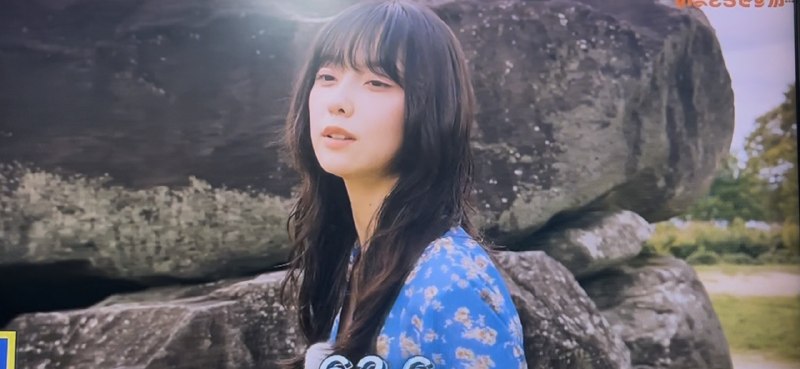📸 @ryo0515elf1111 ×2一緒に見ていた後輩は、小夏さんが出るたびにビクッとする自分が面白いらしく「楽しそうで何よりですよ」と呆れていました🤣最終的には「これは！！勉強の時間ですよ！！？」と叱られました😭w すまねぇ、飛鳥時代の偉い人たち… #加藤小夏原文 #加藤小夏