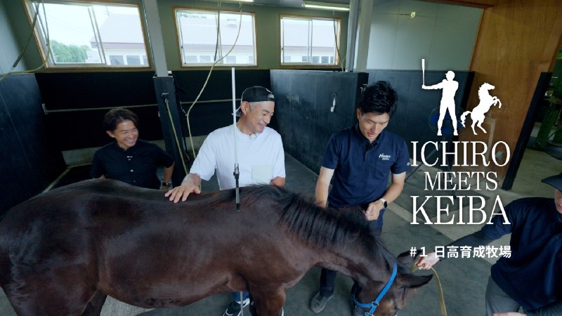 📸 @JRAFUN_Officialさんとのコラボ第三弾は競走馬になるまでのストーリーを知るために馬産地の北海道・日高地方へ
