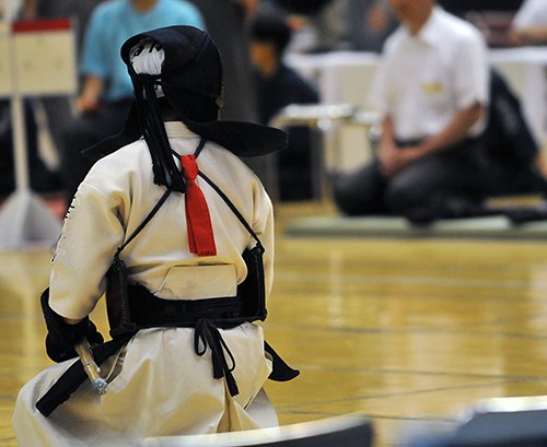 📸 @kendogasukikendo photo of the day.今日の1枚