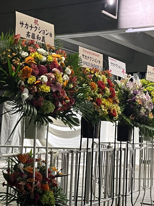 📸 @aoo000ooo ×3個人的に9月8日上回るセトリに歓喜爆泣B着席指定は舞台裏から出入りするメンバーも観れるしあの演出の裏側も観れちゃうし来年20周年日の広島も楽しみすぎる！！ #SAKANAQUARIUM20262027透明 #サカナクション #山口一郎原文 #サカナクション